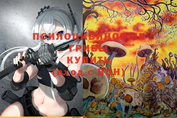 прущий лед Алексеевка