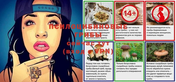 прущий лед Алексеевка